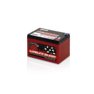 Batterie sigillate AGM DEEPCYCLE al Silicone ZLS120110 12V 16AH