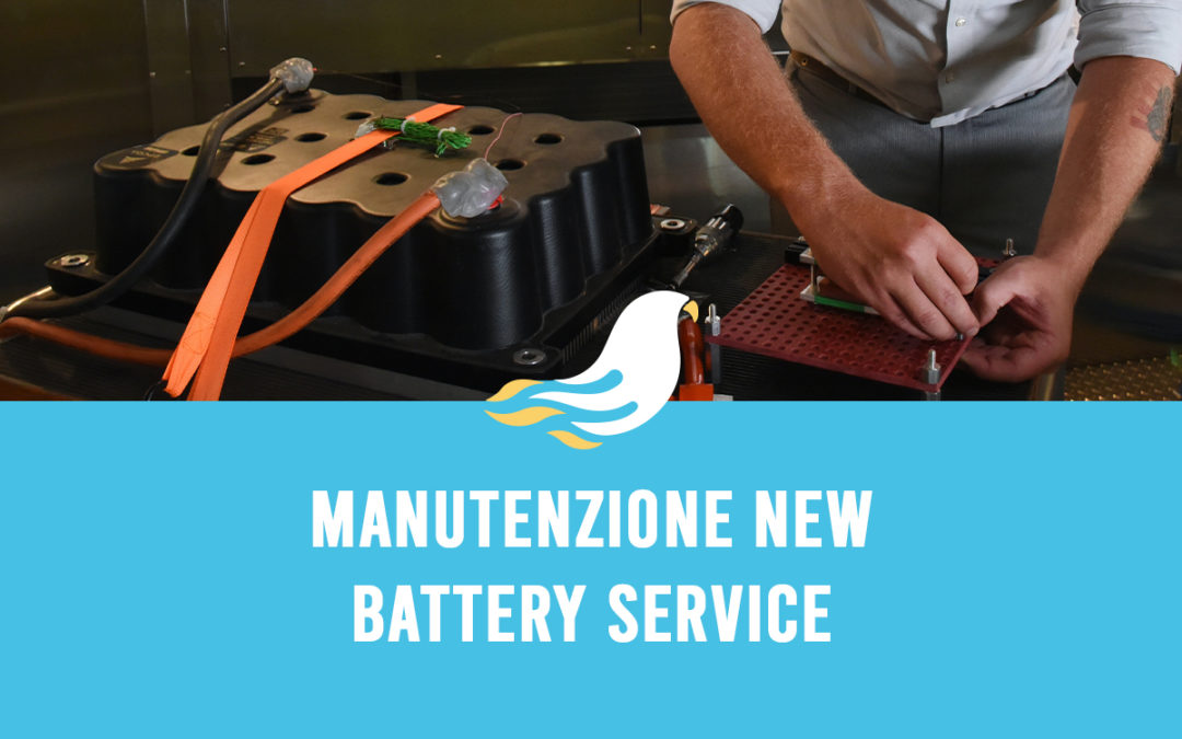 Manutenzione New Battery Service