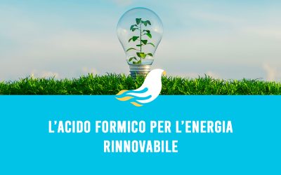 L’acido formico per l’energia rinnovabile